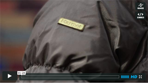 vimeo-ascona